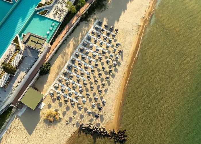 ホテル Secrets Sunny And (adults Only)